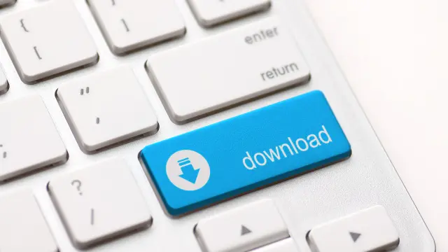 Search icon
